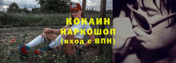 круглые Коряжма