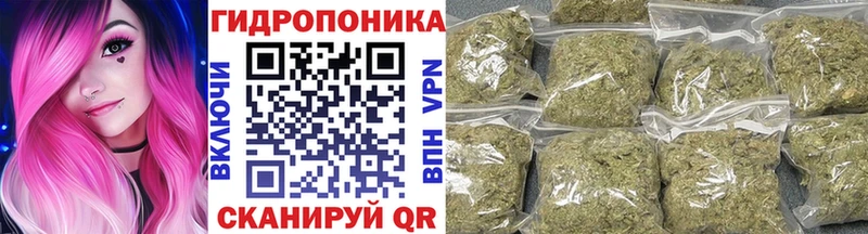 Марихуана план omg рабочий сайт Кувшиново